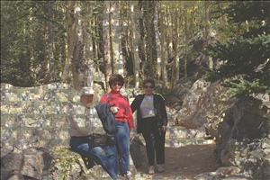 Walkers moziac.jpg